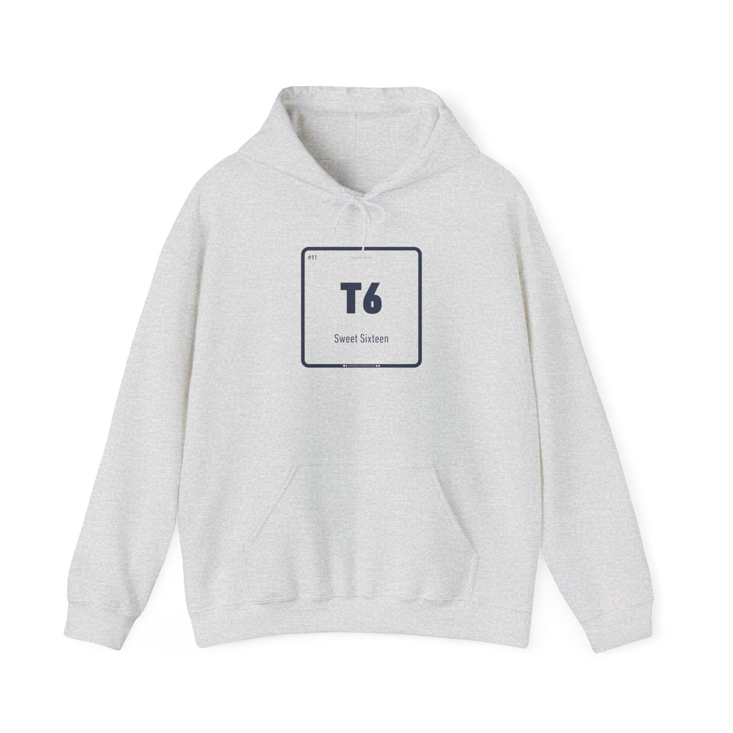 T6 - Sweet Sixteen Bluff Hooded Sweatshirt - Periodic Table Design